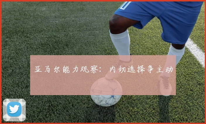 亚马尔能力观察:内切选择争主动