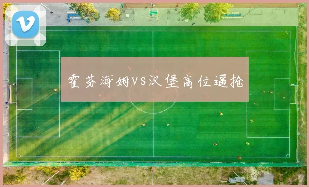 霍芬海姆vs汉堡高位逼抢